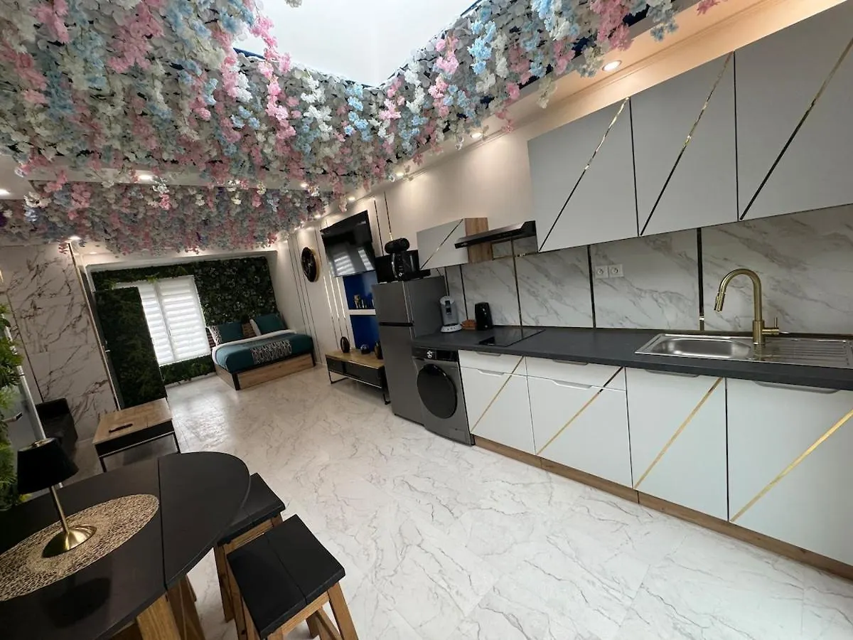 Apartment With Jacuzzi Lille France